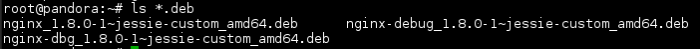 Compiler et installer Nginx avec le module PageSpeed pour Debian