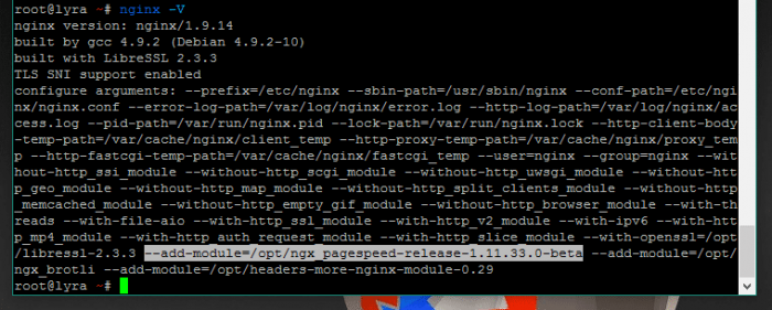 Compilier et installer Nginx avec le module PageSpeed sous Debian 8