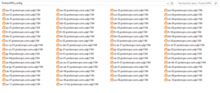 Fichiers de configurations ProtonVPN pour Windows