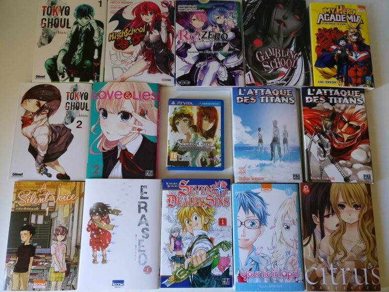 Achats Paris Manga